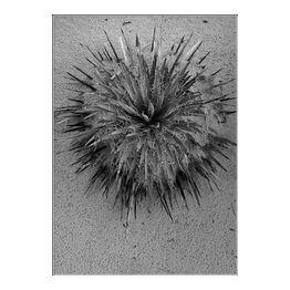 Grand Staircase-Escalante, NM, Utah